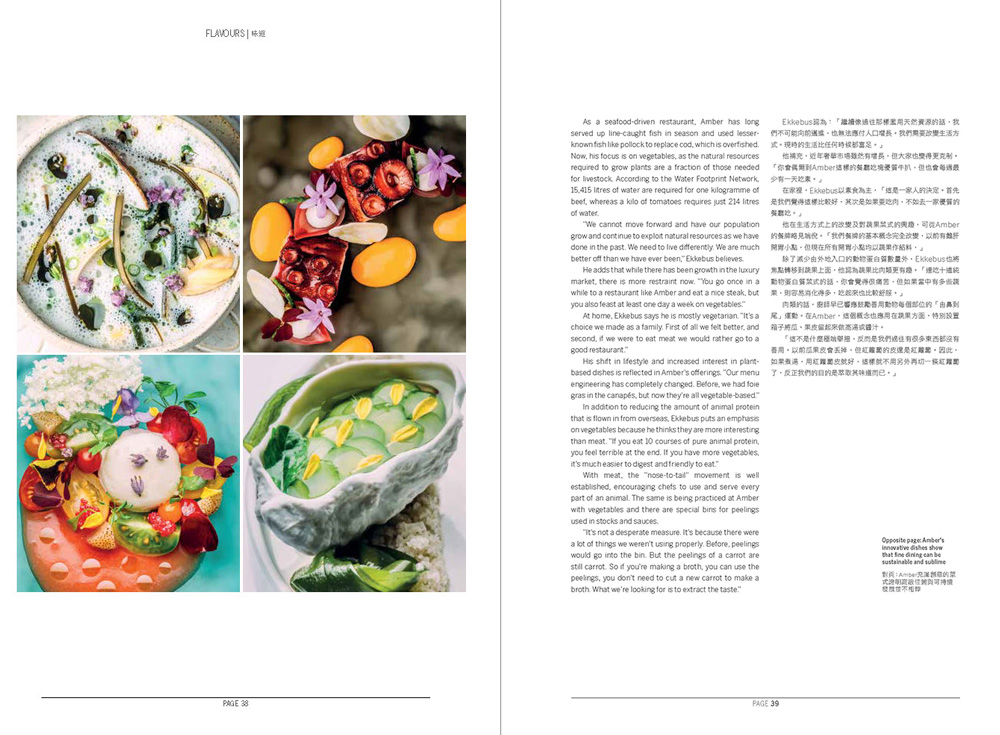 Platinum - Issue 5 - Taste Not Waste 2